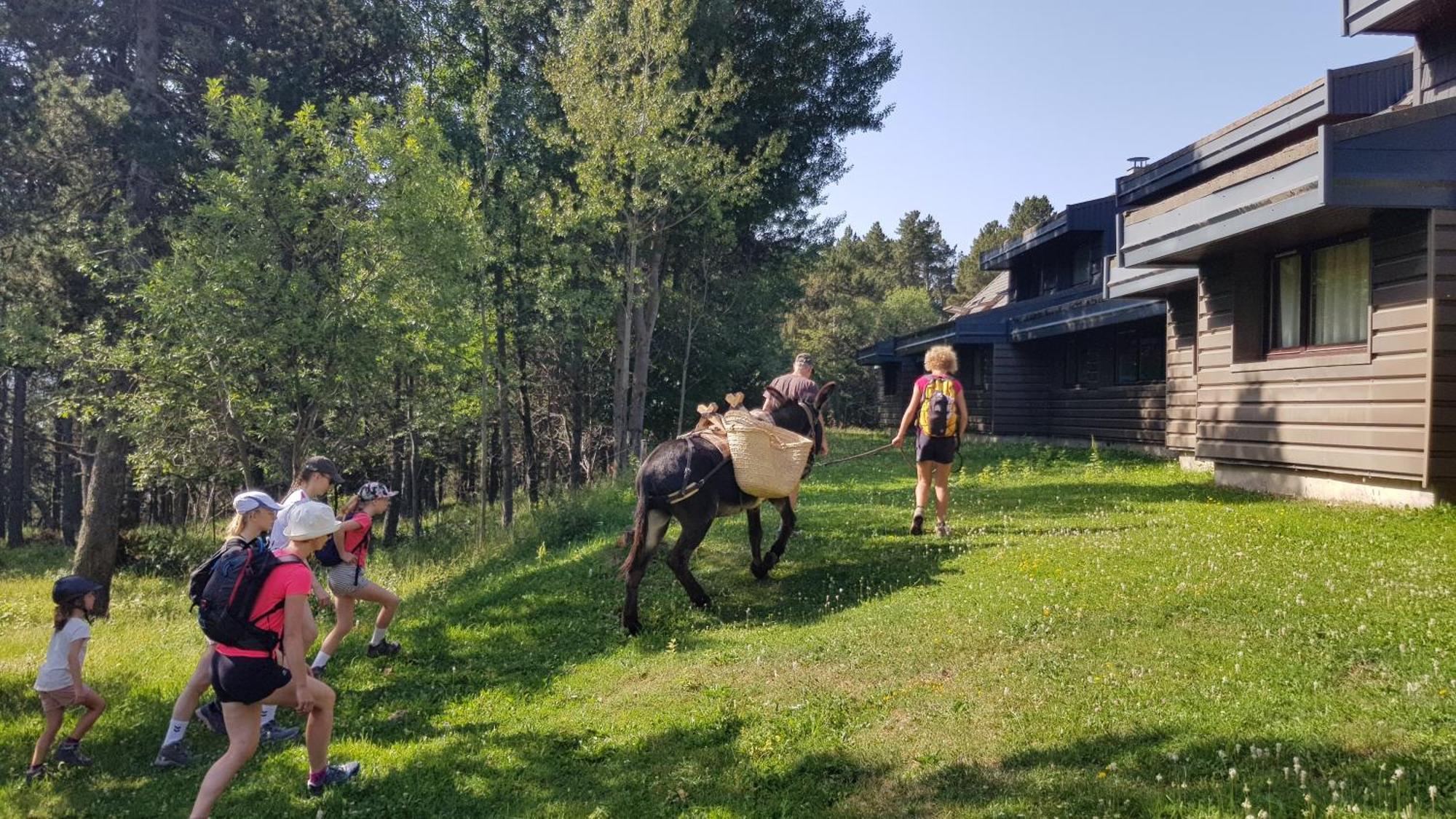 蒂克小屋 Bolquere Pyrenees 2000 外观 照片